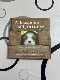 Teaspoon Of Courage