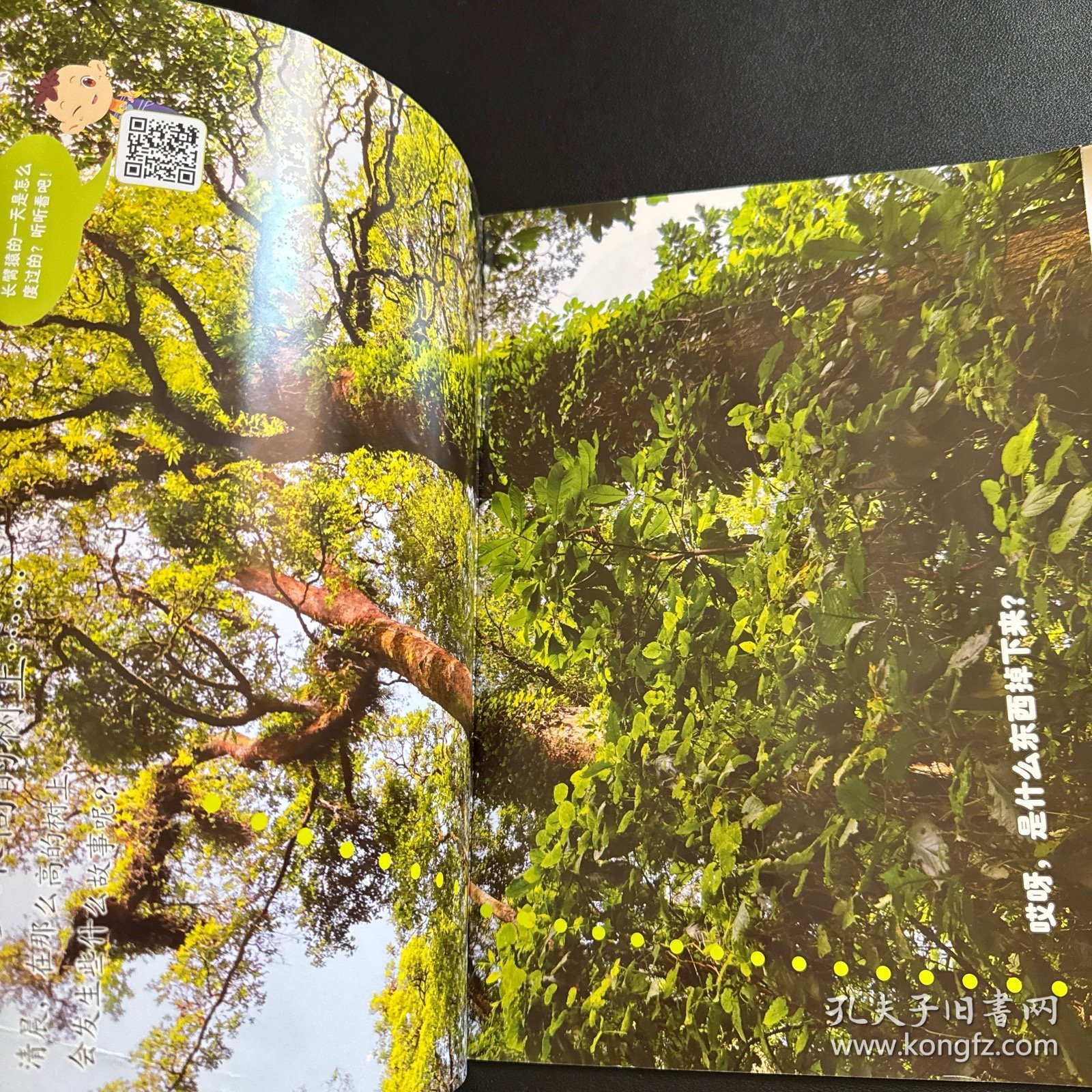 小聪仔·科普版：长臂猿（总第527期）