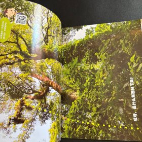 小聪仔·科普版：长臂猿（总第527期）