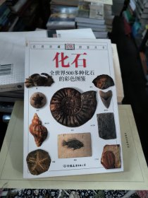 化石：全世界500多种化石的彩色图鉴