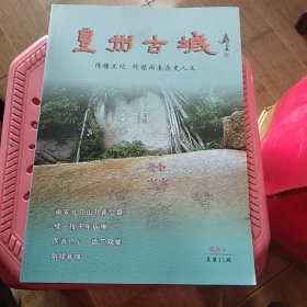 丰州古城 试刊二 总第11期