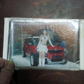 车展车模（照片）