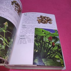 新编中草药彩色图谱