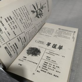 中国地道药材鉴别使用手册2