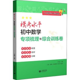 模考水平初中数学专项梳理与综合训练卷（中考数学分层训练）