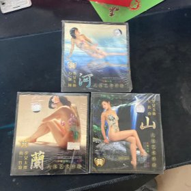 人体艺术彩绘 河 山 兰vcd（三册合售）里面附小册子加光盘