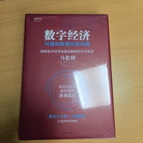 数字经济：中国创新增长新动能