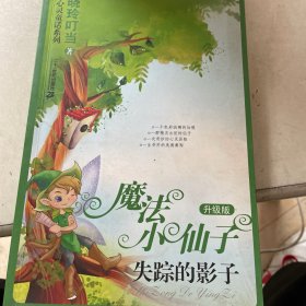 失踪的影子 魔法小仙子升级版