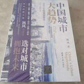 中国城市大趋势：未来10年的超级新格局