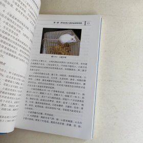 心血管疾病小动物实验手册