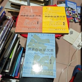 历史在这里沉思（全三卷）