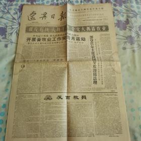 辽宁日报1960年5月29日