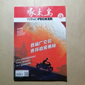 啄木鸟 2024 7