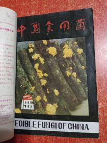 23册(期)合售：中国食用菌1985年第1~6期、浙江食用菌1982年第2~6期+1984年第1~6期+1986年第1.2.3期、江苏食用菌1986年第1.2.3期