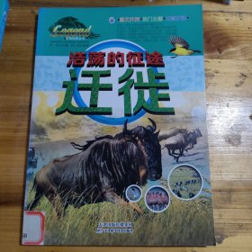 浩荡的征途——迁徙