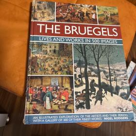 THE BRUEGELS LIVES AND WORKS IN 500IMAGES