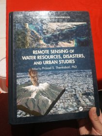 REMOTE SENSING OF WATER RESOURCES, DISASTERS, AND URBAN STUDIES水资源遥感、灾害与城市研究