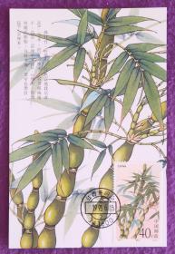 1993年《竹子》邮票极限明信片，盖江西井冈山邮政日戳