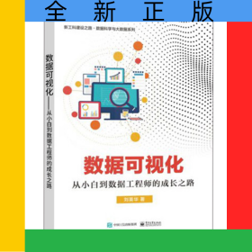 数据可视化――从小白到数据工程师的成长之路