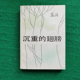 沉重的翅膀（矛盾文学大奖）