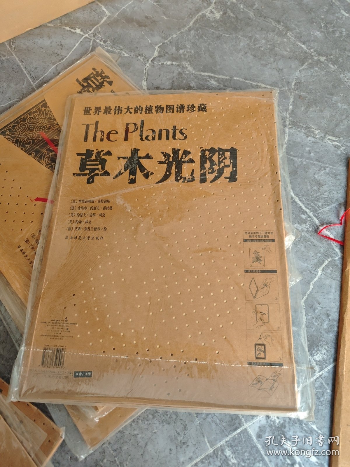 草木光阴：世界最伟大的植物图谱珍藏