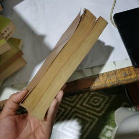 中国现代文学史 二