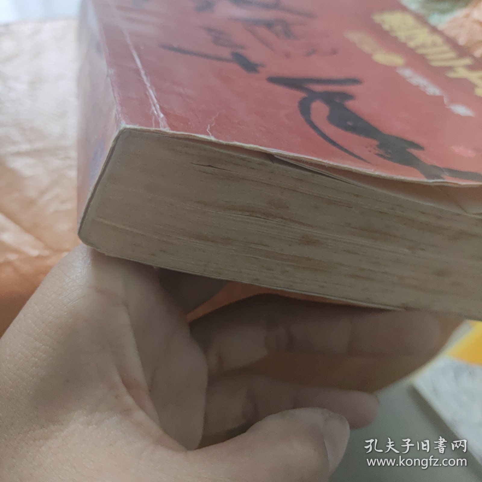 激荡三十年（全集）：中国企业1978-2008