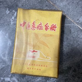中医急症手册