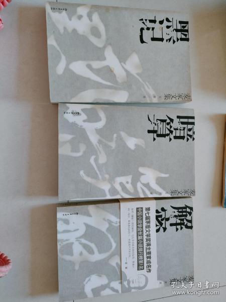 麦家文集
解密.暗算.黑记.三册合销售（10号箱）