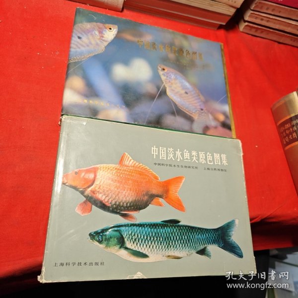 中国淡水鱼类原色图集