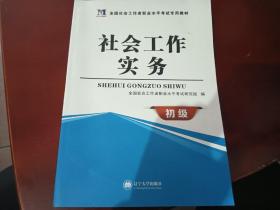 社会工作实务 初级