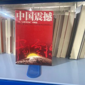 中国震撼：一个“文明型国家”的崛起