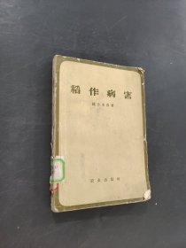 稻作病害