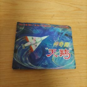 连环画 神奇的