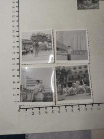 老照片：1984深圳广州珠海单人照四张