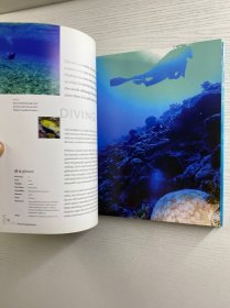 Dive in Style：With 743 Colour illustrations（2006年英文版）24开（精装如图、内页干净）
