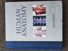 人体解剖，外文原版，HUMAN ANATOMY