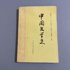 中国文学史.二