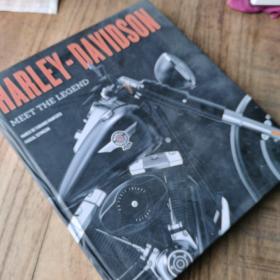 HARLEY—DAVIDSON