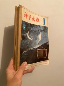 科学画报1982全年 1-12期