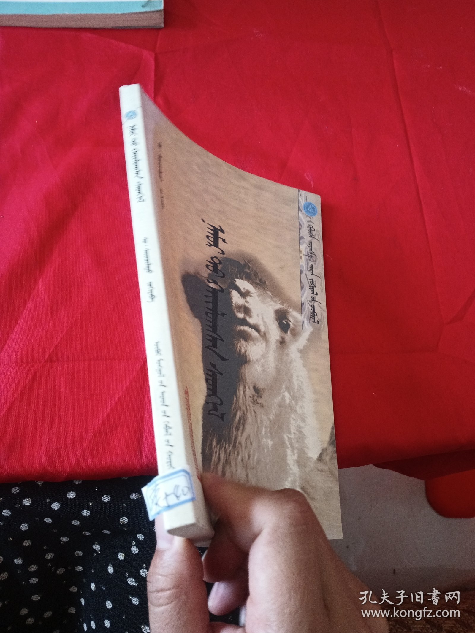 蒙文 《格鲁根之歌》文学丛书：秋天的印迹