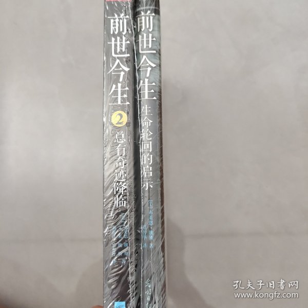 前世今生:生命轮回的启示