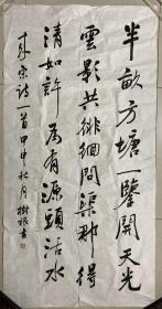 童树根 书法 软片 136×68厘米 【有小裂】