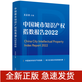 中国城市知识产权指数报告（2022）