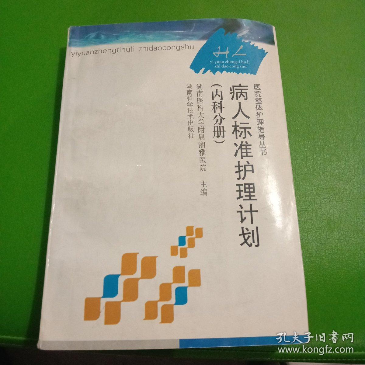 医院整体护理指导丛书：病人标准护理计划（内科分册）