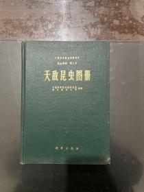 中国科学院动物研究所昆虫图册第三号 天敌昆虫图册