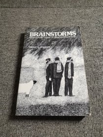 Brainstorms：Philosophical Essays on Mind and Psychology