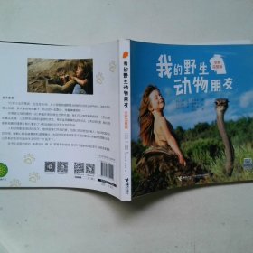 我的野生动物朋友