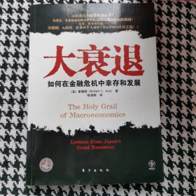 大衰退：如何在金融风暴中幸存和发展