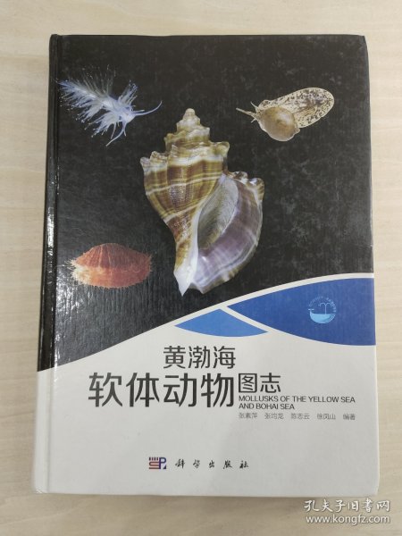 现代海洋科学 从近海到深海：黄渤海软体动物图志